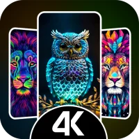 Papéis de parede - Fundo